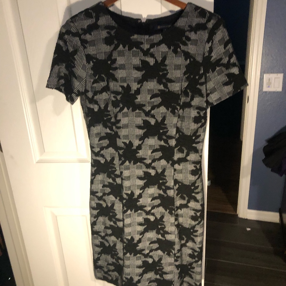 NWOT Brooks Brothers Dress Size Eight